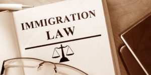 immigration law